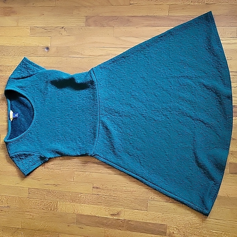 Prince & Fox Green skater dress. Size small
